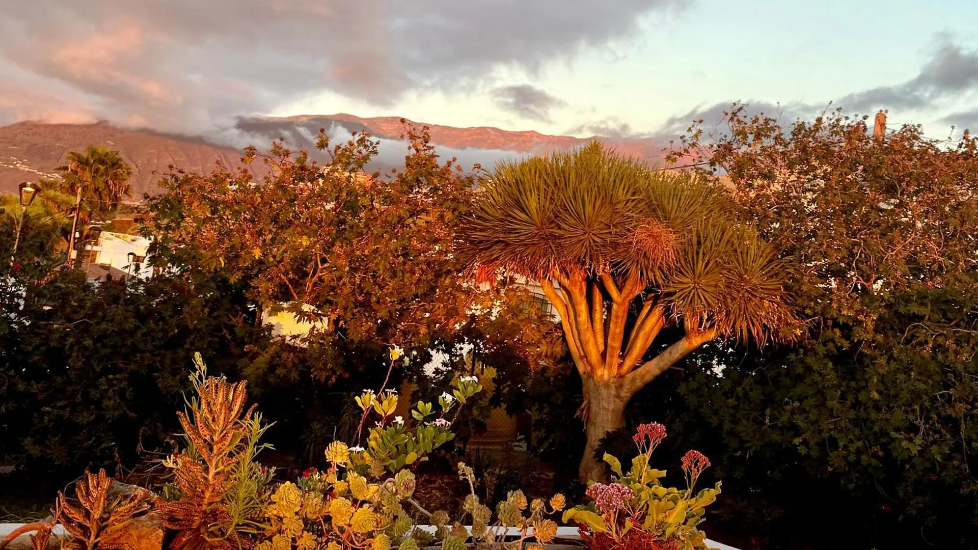 Zen Ocean View House Tenerife Los Realejos Spanyolország