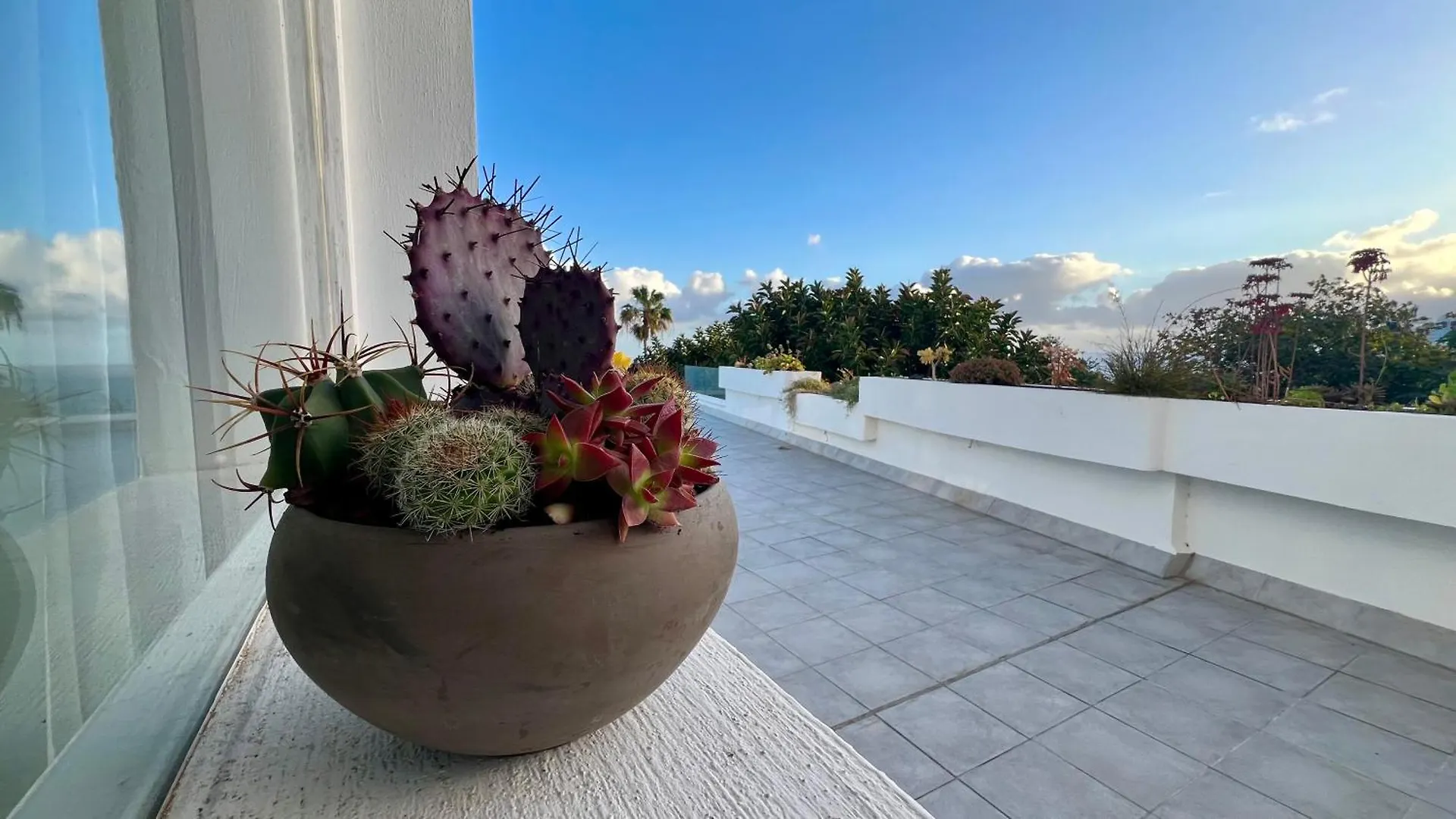 Nyaraló Zen Ocean View House Tenerife Los Realejos Spanyolország